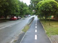 Imagine atasata: pista crisan 05.JPG
